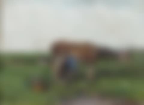 Milking time (preview)