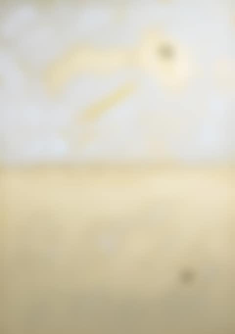 Composizione (preview)