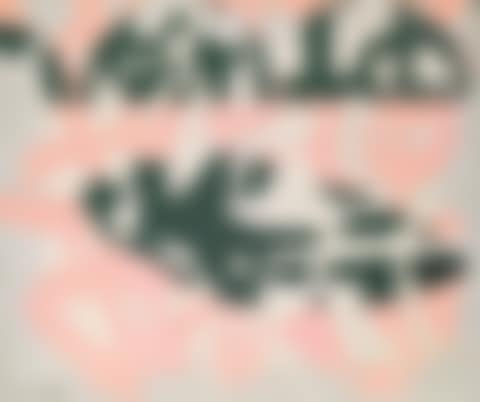 Senza titolo, rosa verde (preview)