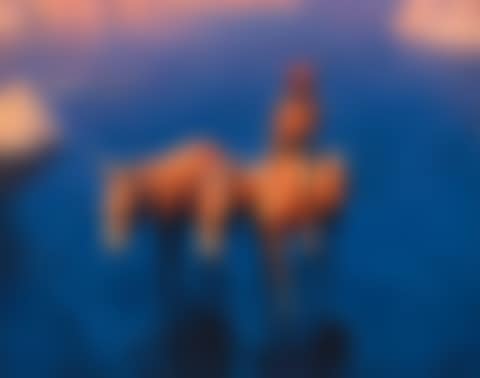 Young herdsman (preview)