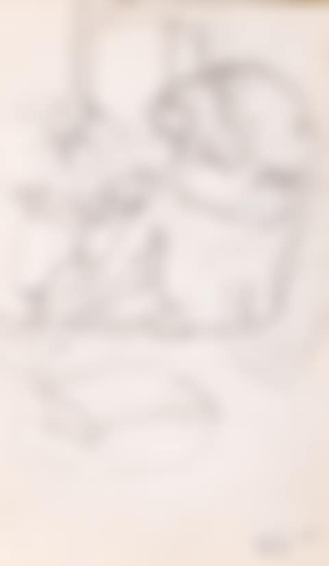 Jeune femme assise. Femme lisant (preview)