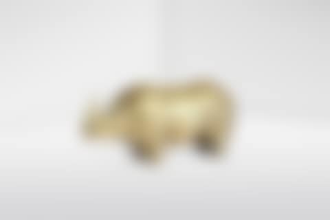 'RHINOCÉROS III' (preview)