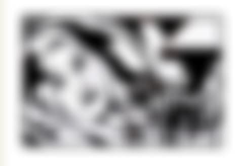 Bedroom Brunette with Irises (Black Variation #1) (preview)