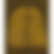PUMPKIN (YELLOW T) (preview)