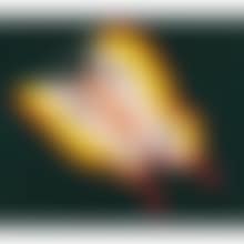 BUTTERFLY (preview)
