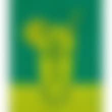 LEMON SQUASH(1) (preview)