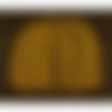 A PUMPKIN (Y) (preview)