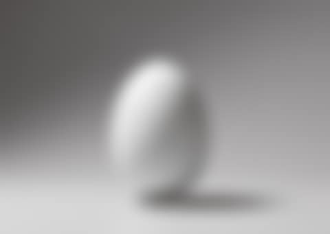 Oeuf d"autruche ice bucket (preview)