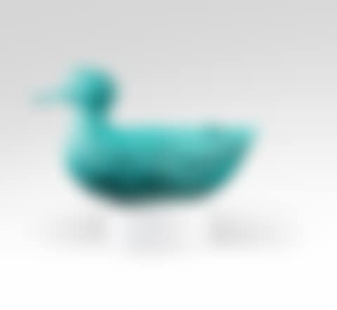 Unique Canard Flottant (preview)
