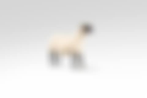Brebis , from the Nouveaux Moutons series (preview)