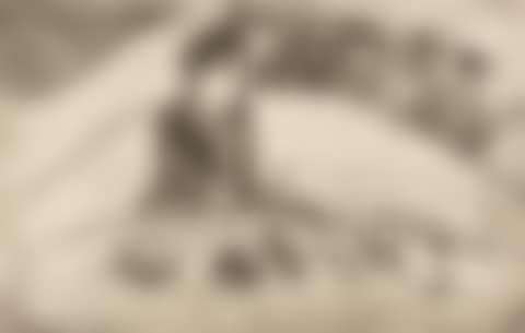 La femme aux figues (preview)