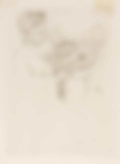 Looking into the Hand Mirror, No. 2 (preview)