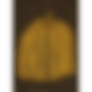Pumpkin (YT) (Kusama 228) (preview)