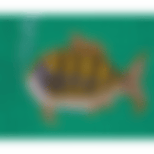 Depths of the Sea (Kusama 135) (preview)