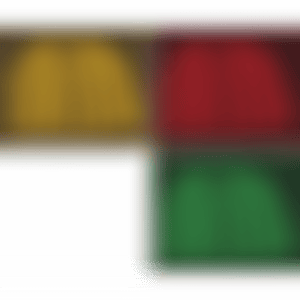 Pumpkin 2000 (Yellow, Red, Green) (Kusama 298-300) (preview)
