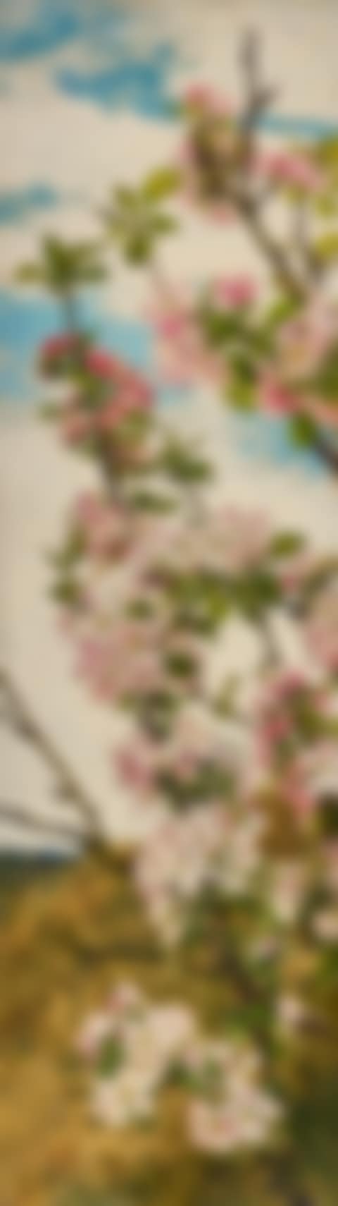 Apple Blossoms (preview)