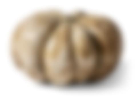 Pumpkin (preview)