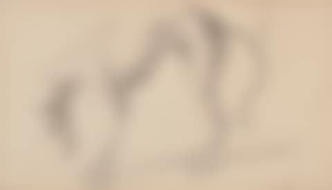 Study of a greyhound (preview)