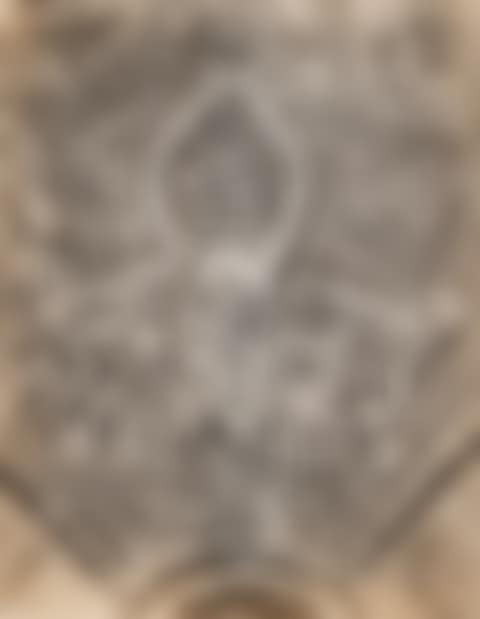 Detail of a Senufo Sculpture (preview)