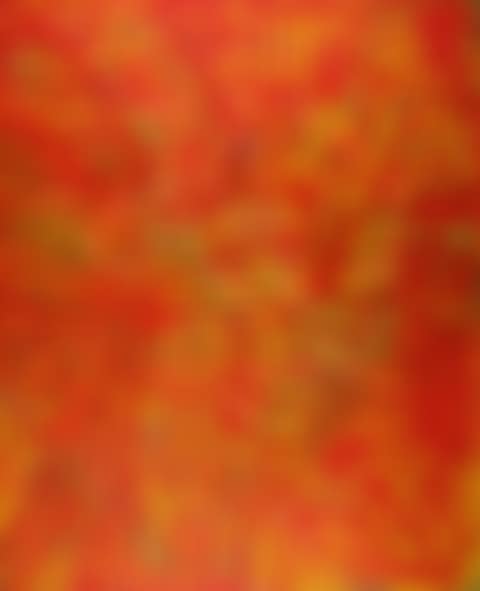 Fertile Desert (preview)