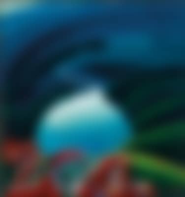 Sorvolando il lago (preview)