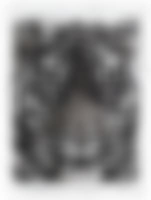 Study for Tiger Head (No. 1B) (preview)