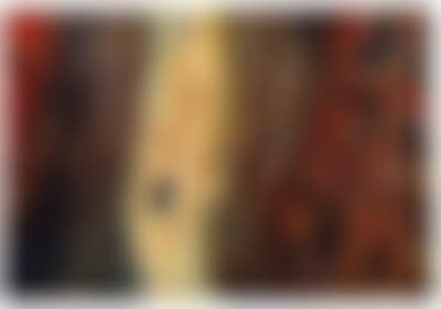 “Eine Papageienwelt” (preview)