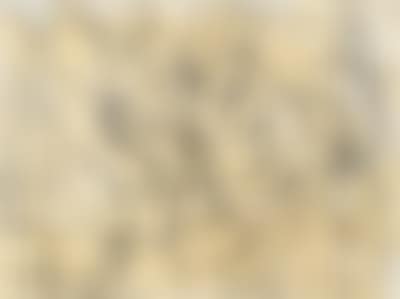 Altre tracce 4 (preview)