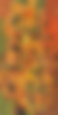 Ohne Titel (preview)