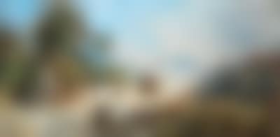 A Market Scene on a Dusty Road near Trieste (preview)