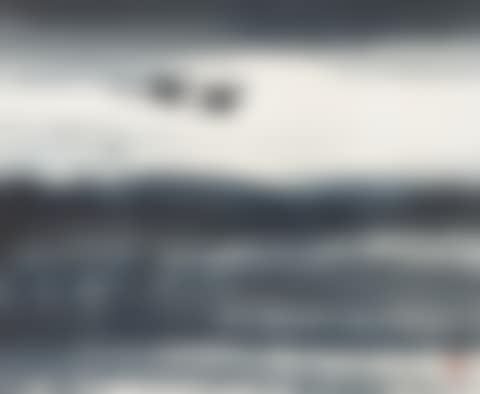 Flying Goose (preview)