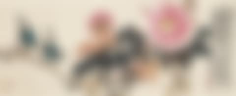 Peonies and Birds (preview)