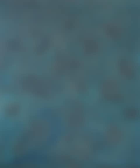 Subacqueo (preview)