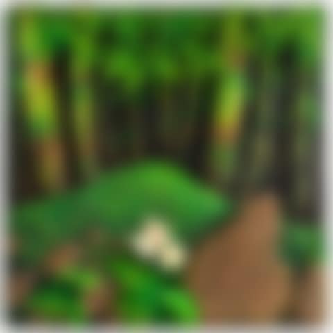 Bambù con pietra rituale (preview)