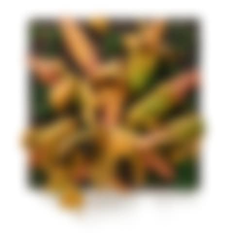 Granoturco (preview)