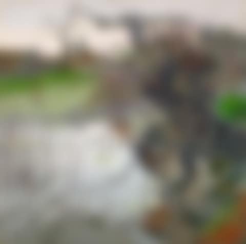 A Corner of a Garden (By the Lake) (preview)