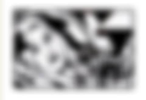 Bedroom Brunette with Irises (Black Variation #1) (preview)