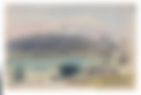 Paysage de Nyon (preview)
