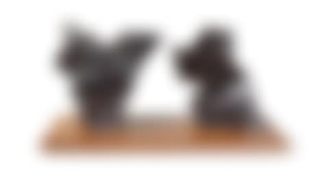 Taichi Series (preview)