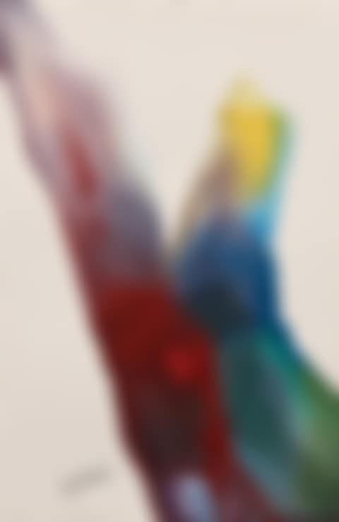 Phenomena return voyage (preview)