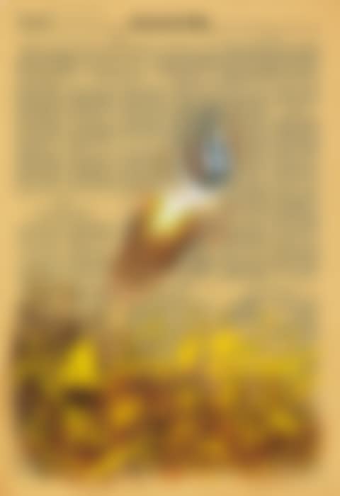 Untitled (preview)