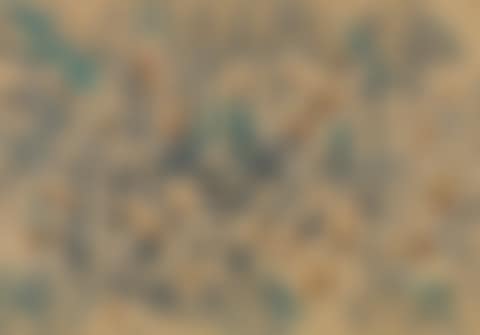 Recurrence (preview)