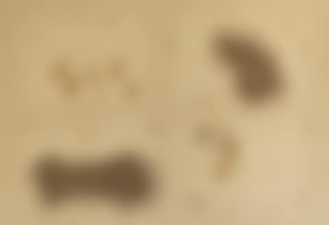 Water Drops (preview)