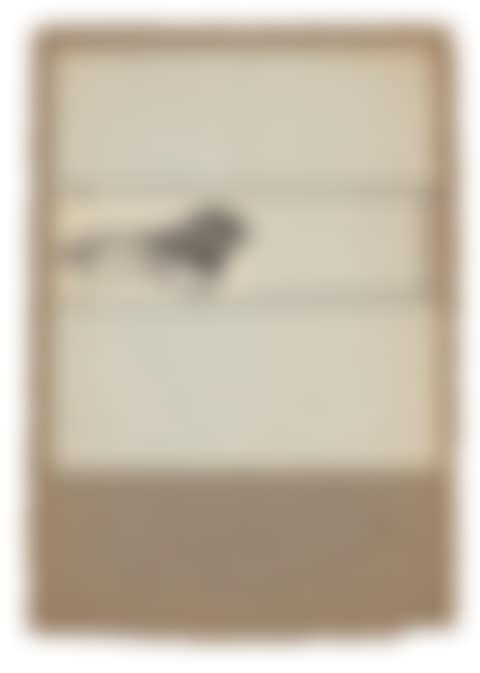 Untitled [foot] (preview)