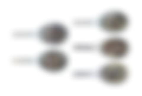 Five tennis racquets (preview)
