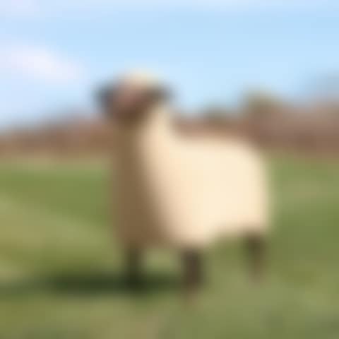 Mouton de Pierre (preview)