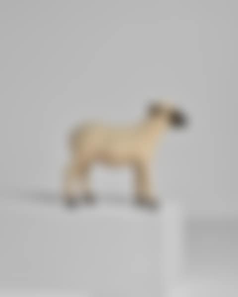 Mouton (preview)