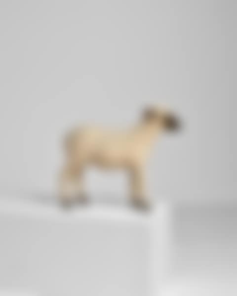 Mouton, Agneau (preview)