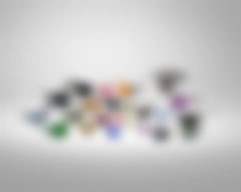 Collection of Twenty-five Birds (preview)