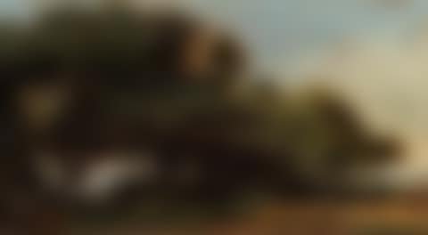 Pines on seashore (preview)